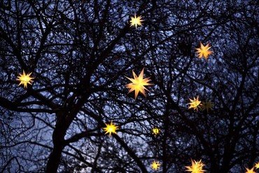 Lysende stjerner på et træ i natten