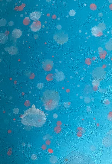 Billede nummer 2 af SOS barn Evelyn