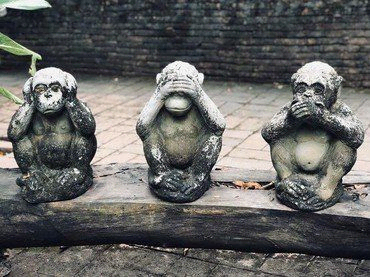 Billede af de tre aber der hverken ser, hører eller taler